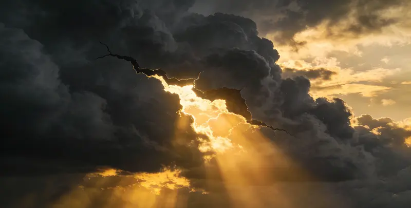 德州肺癌119基因检测图片1