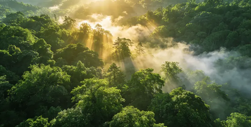 德州肺癌49基因检测图片1